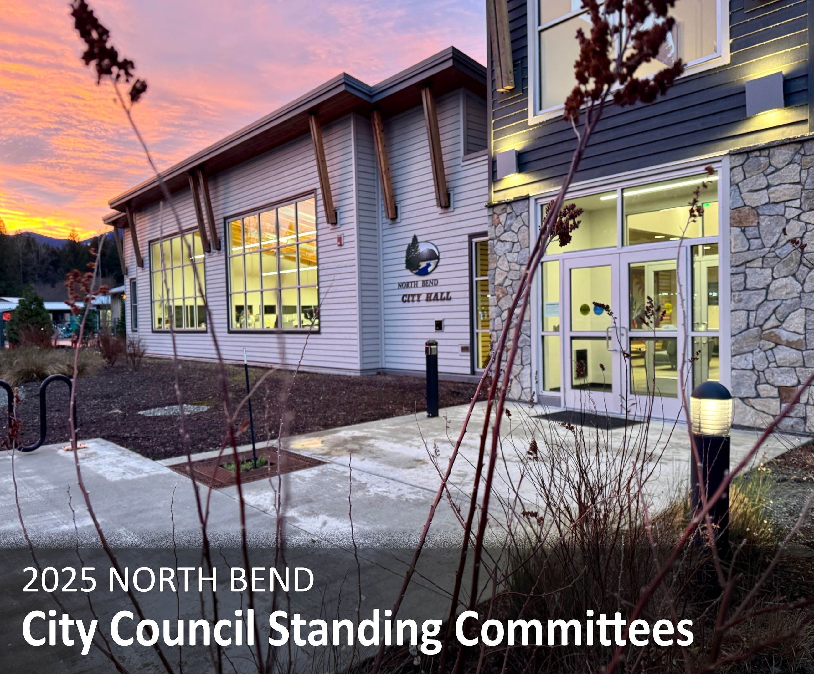Council Standing Committees