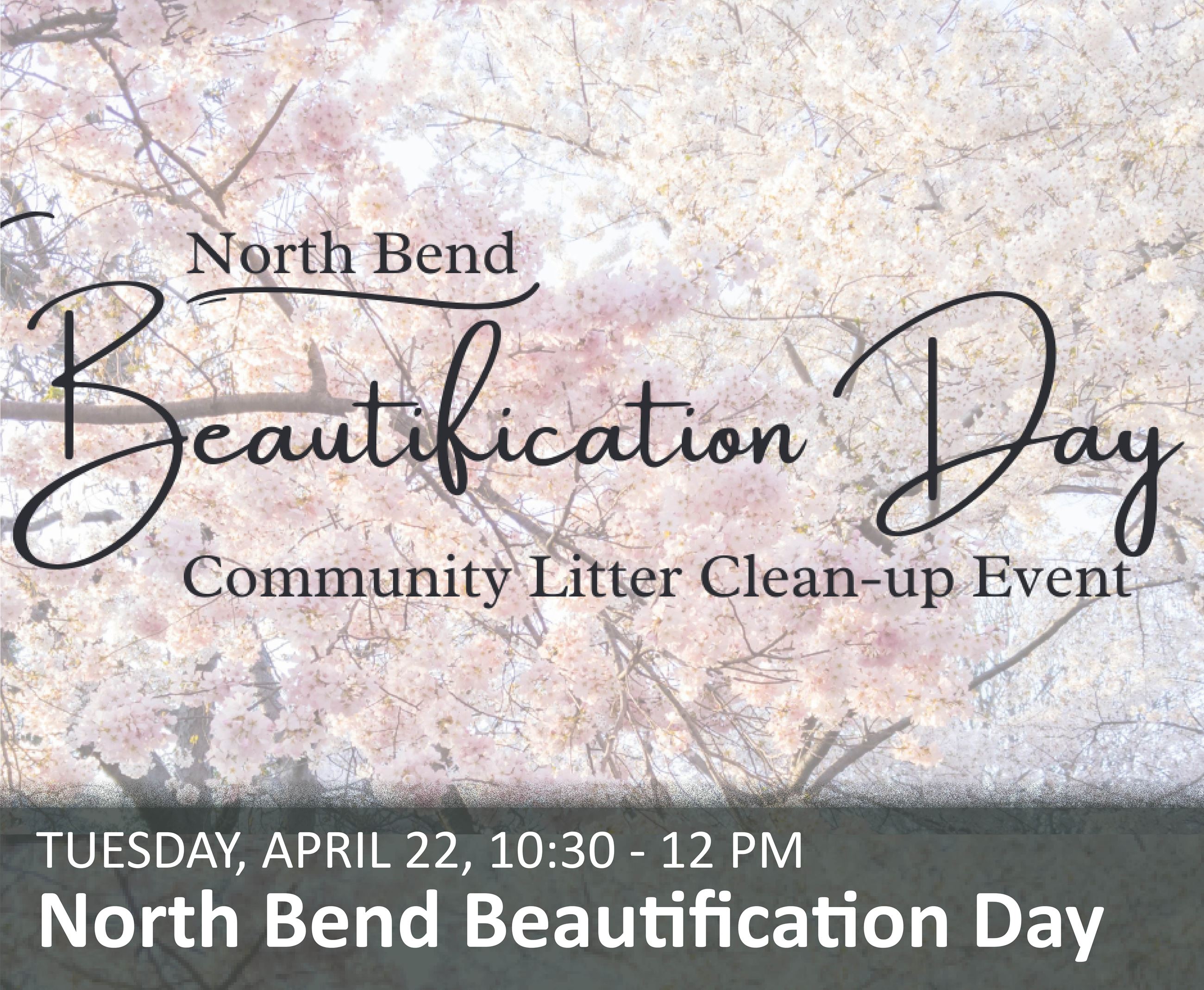 NB Beautification Day_web