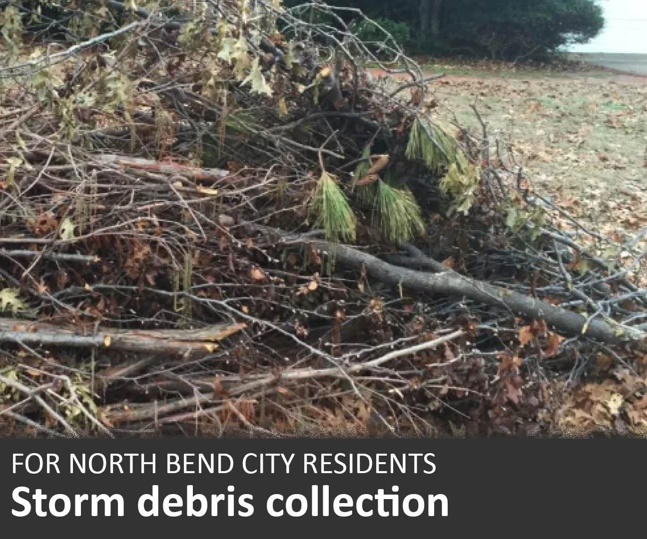 2025 Recology extra debris pickup