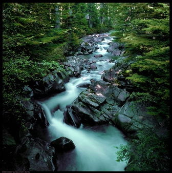 Denny Creek Campground photo by Henry Haneda