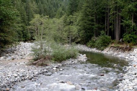 Middle Fork Campground