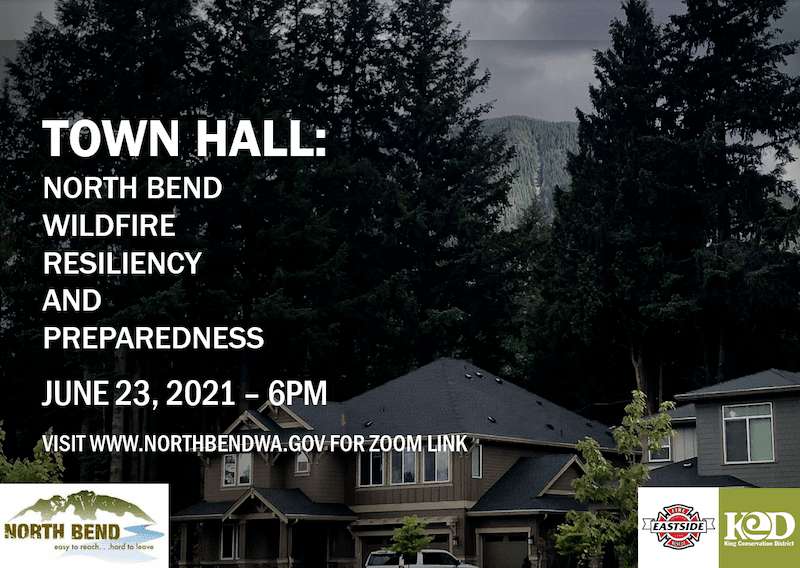 thumbnail_town hall infographic (1)