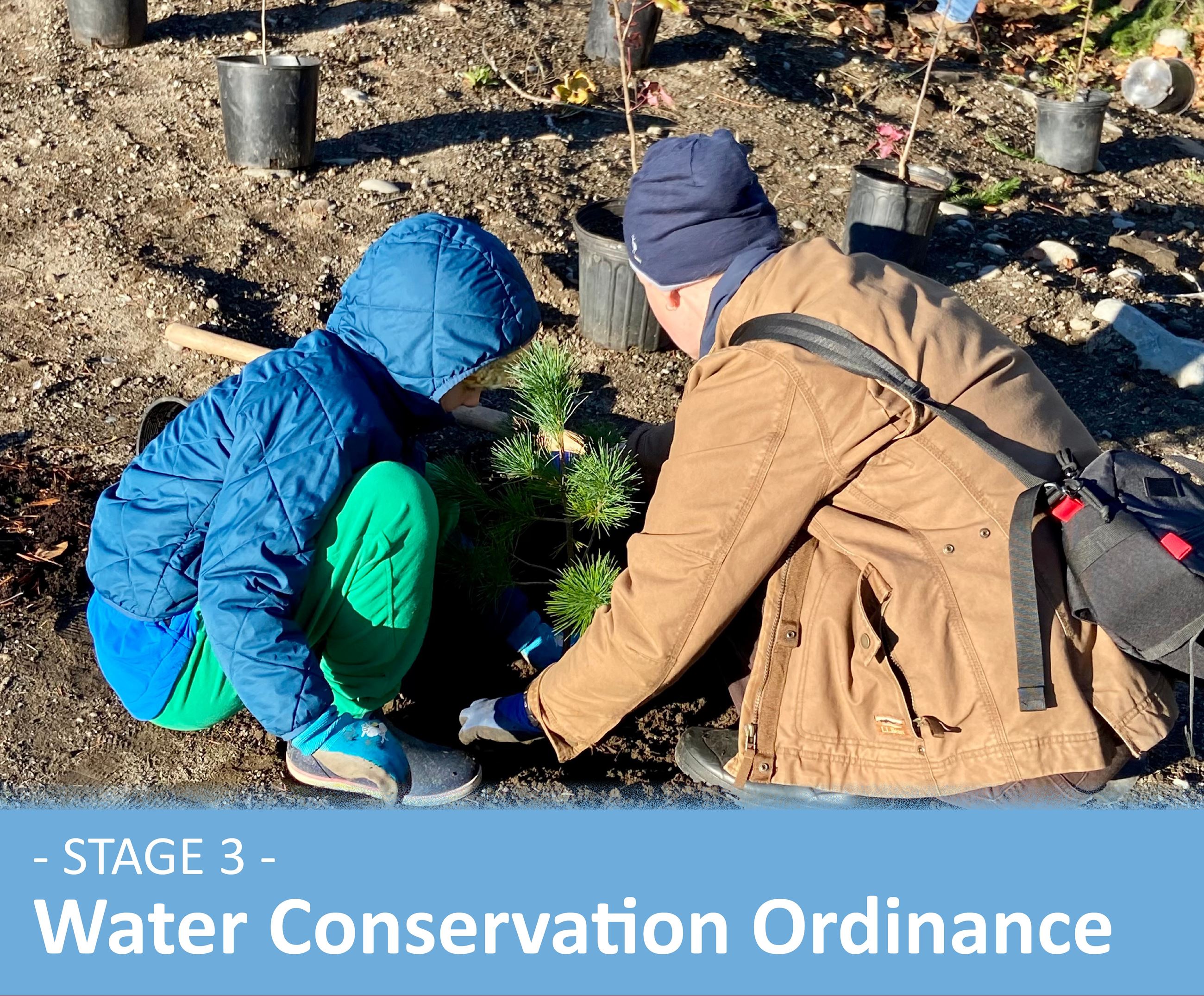 City Community Events, Website Infographic, Arbor Day