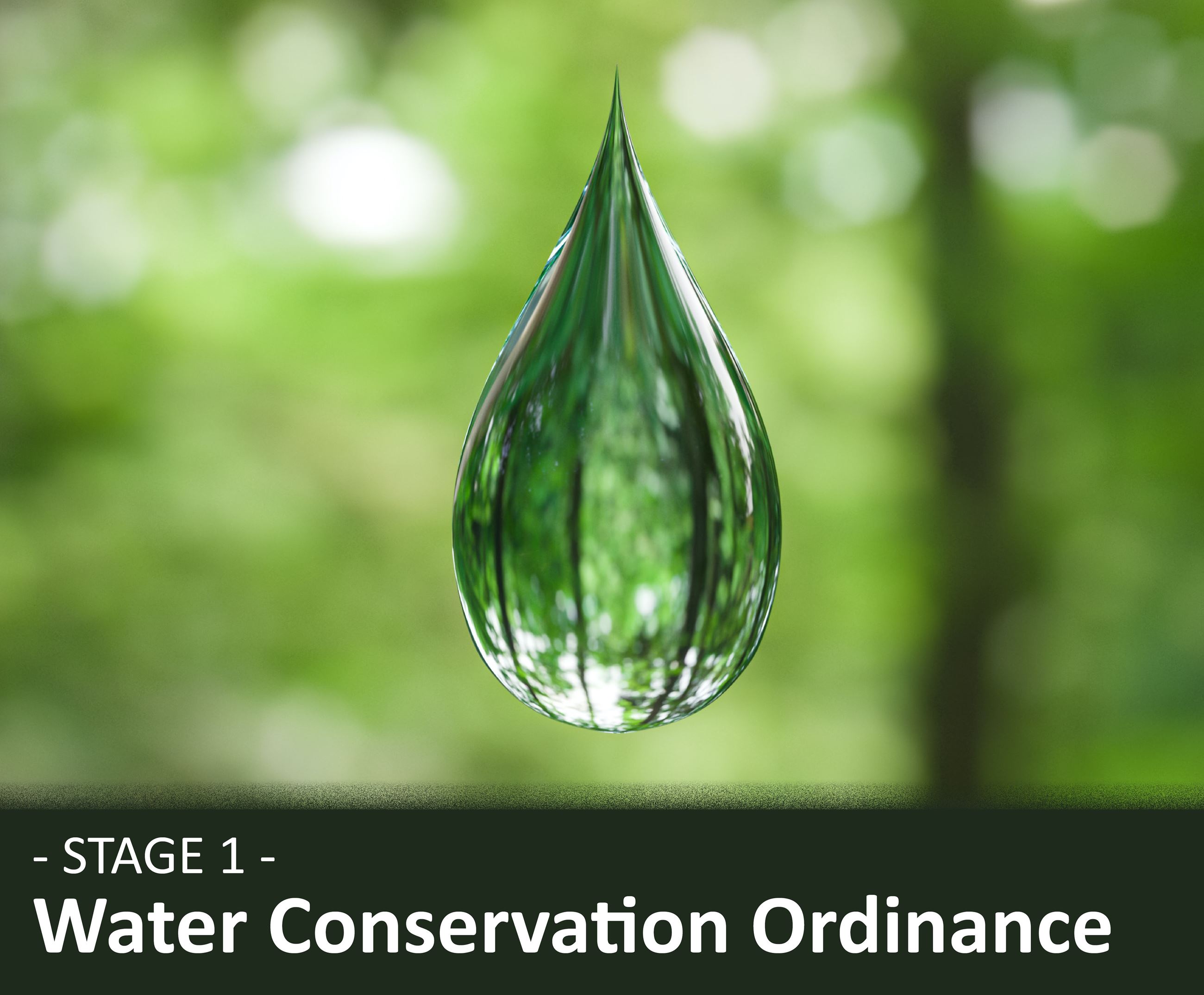 Water Conservation Ordinance, Website Infographic Template