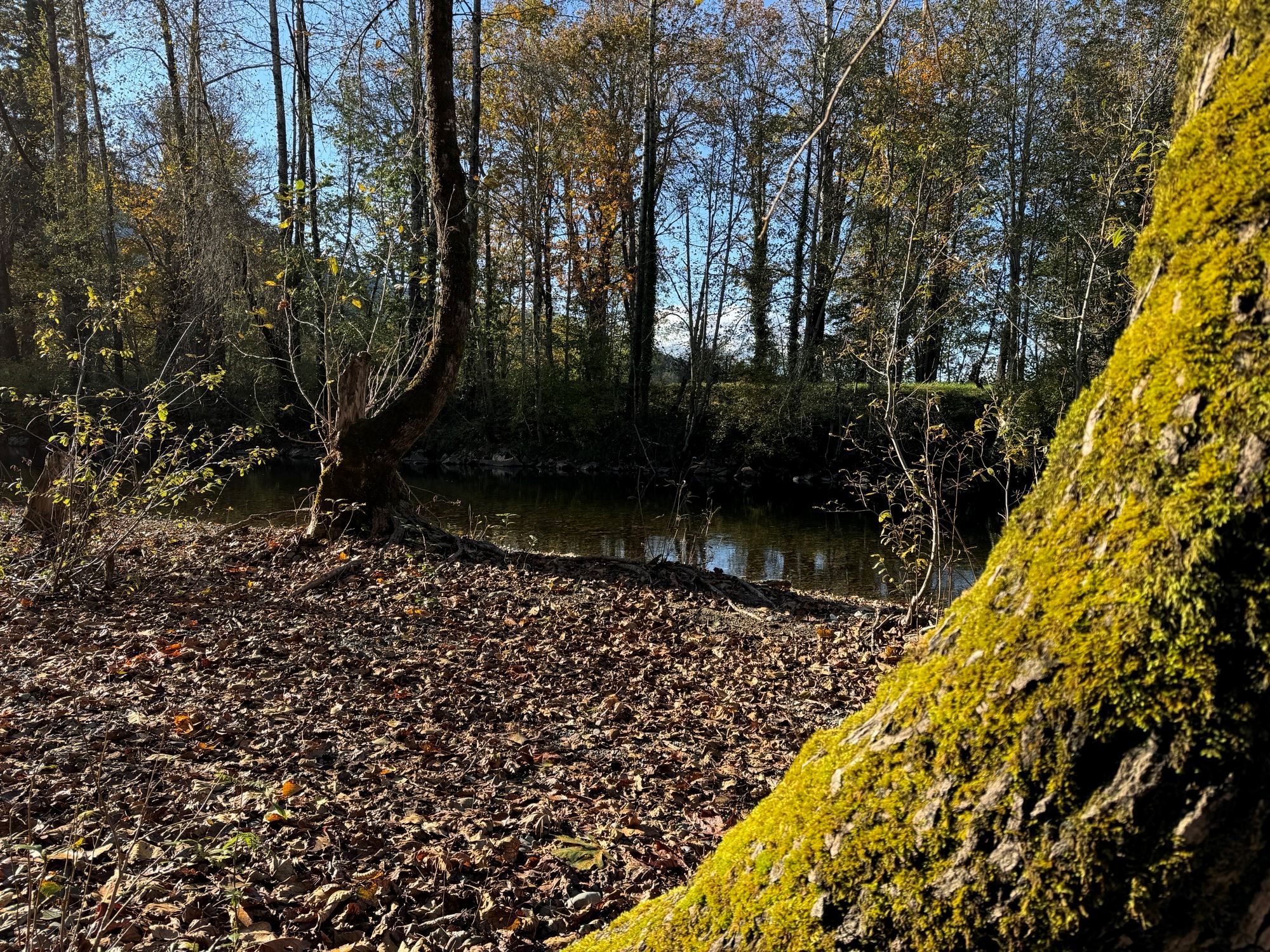 Riverfront Park in the fall