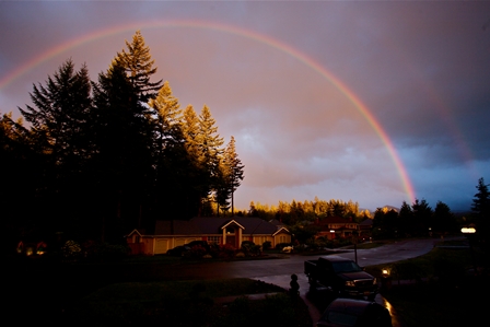 La Forest Holme Rainbow 2