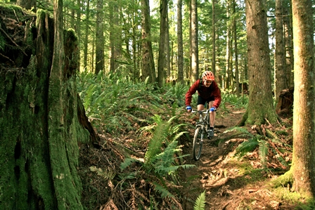 Mountain Biking